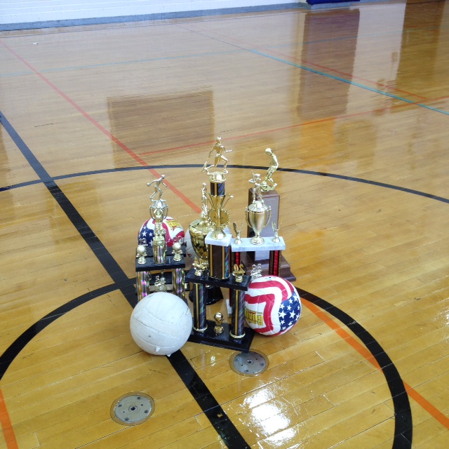 A closer view of the trophies